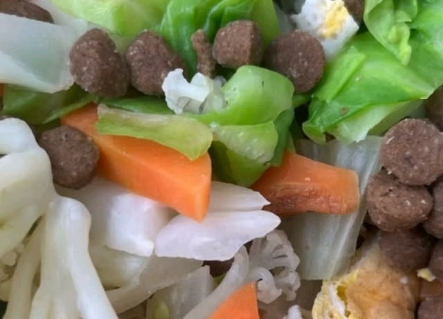 宠物用品让你轻松养宠