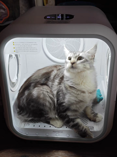 霍曼宠物烘干箱——猫咪狗狗的洗澡吹干神器！