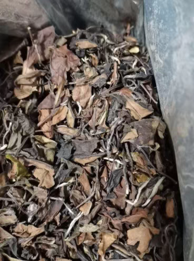 馥益堂白茶
