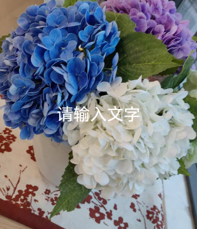 一网情深鲜花绿植