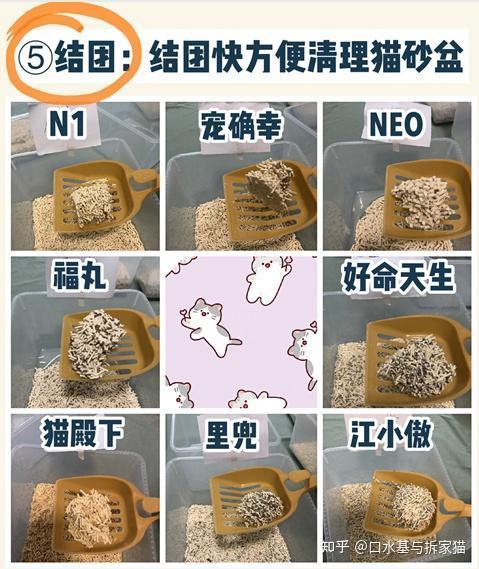 8款口碑猫砂分享大测评（数据仅供参考）