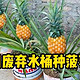  重庆一园艺师，教你用“菠萝头”种菠萝，不花钱，收获20斤，绝了　