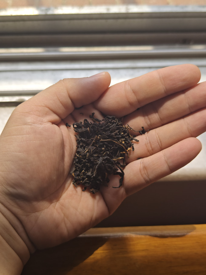 小熊红茶