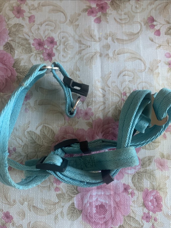 茨格曼胸背牵引/项圈