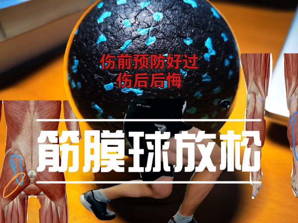 ［第10期］筋膜球按摩手册，精细到解剖图-足底筋膜炎缓解，小腿、大腿按摩放松