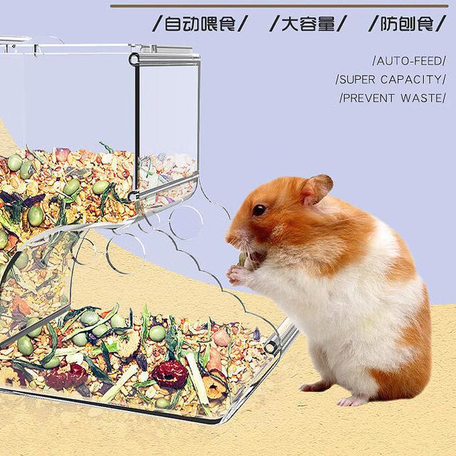 让茨格曼仓鼠喂食器解决你的宠物喂养烦恼
