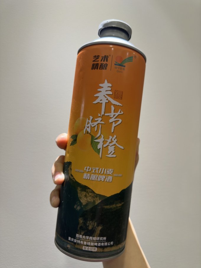 艺术精酿啤酒