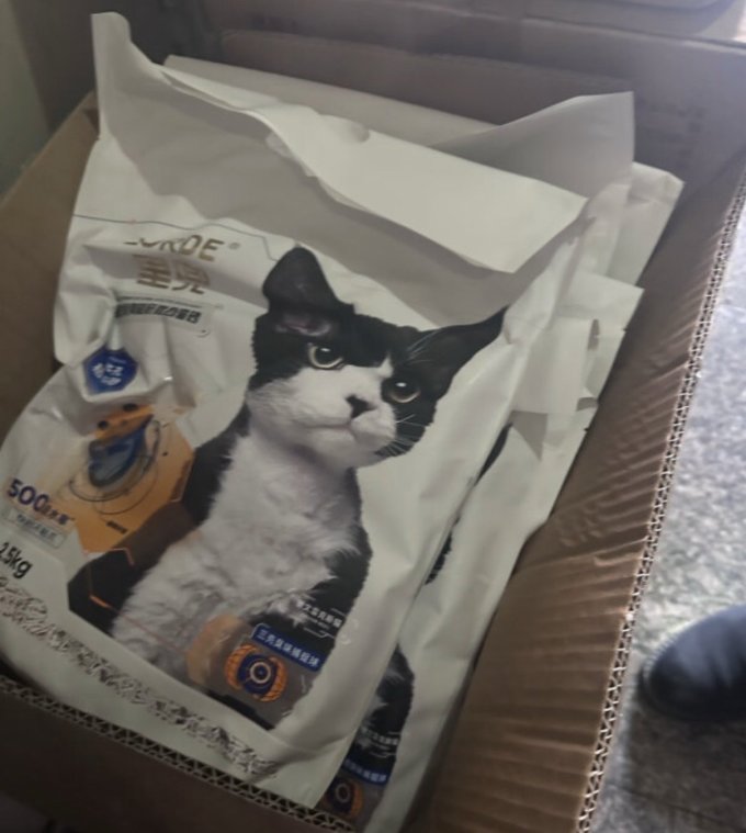 里兜猫砂