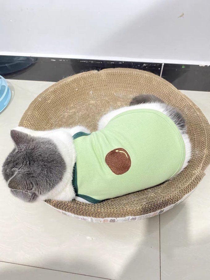 嬉皮狗猫咪服饰