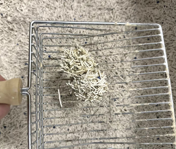 典赞猫砂