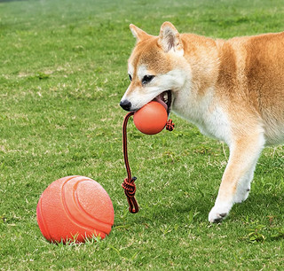 波奇多狗狗玩具球