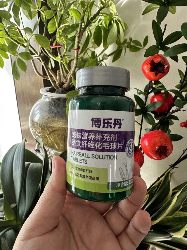 持续回购的博乐丹化毛片！