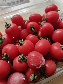 美味小番茄，春日多吃点！