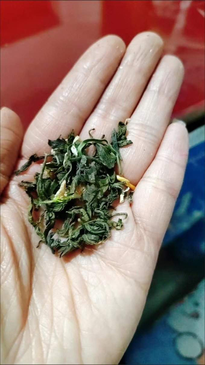 恋凝香茶类