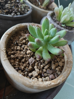 春日色彩大赏