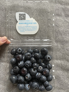 怡颗莓蓝莓，健康生活的秘密武器！