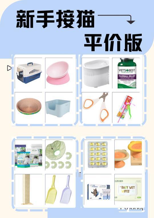 新手养猫｜新手接猫必备品！平价才是王道！