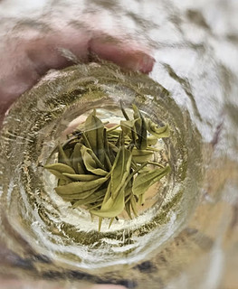 卢正浩绿茶安吉白茶叶特级40g 2024新茶预售明前茶叶罐装自己喝高山春茶