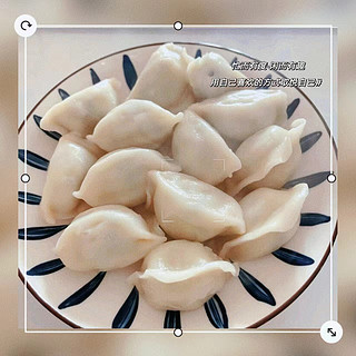船歌 鲅鱼水饺