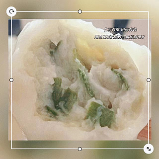 船歌 鲅鱼水饺
