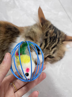 猫咪玩具球自嗨解闷逗猫棒幼猫逗猫神器猫猫小猫宠物磨牙玩具用品