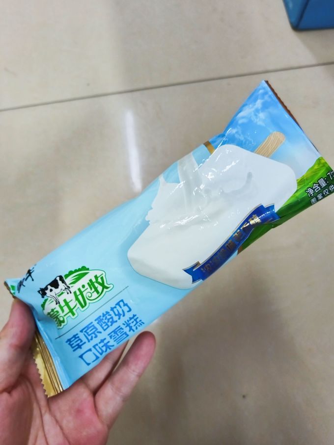 楼下超市甩货蒙牛酸奶口味冰淇淋雪糕2块钱一支