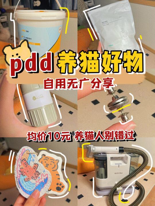 养猫好物「第三弹」压箱底无广分享