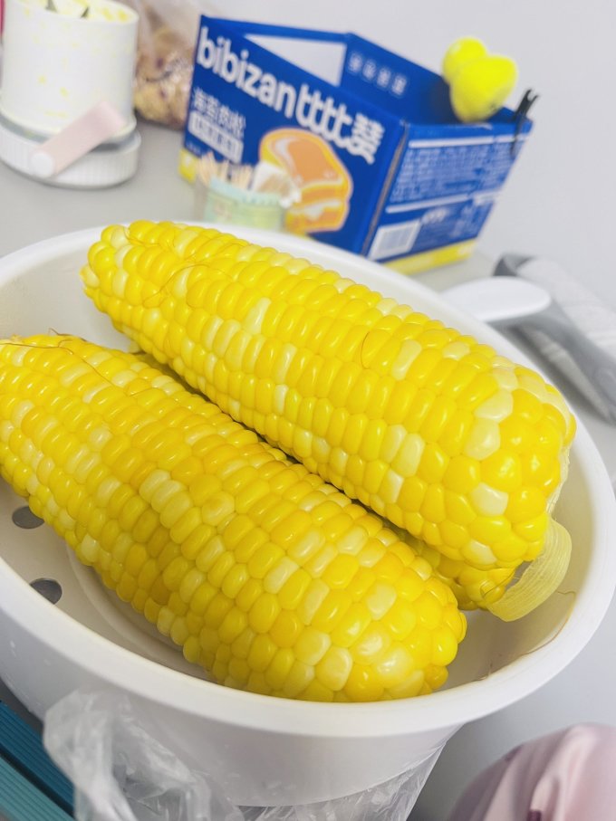 龙大蛋类