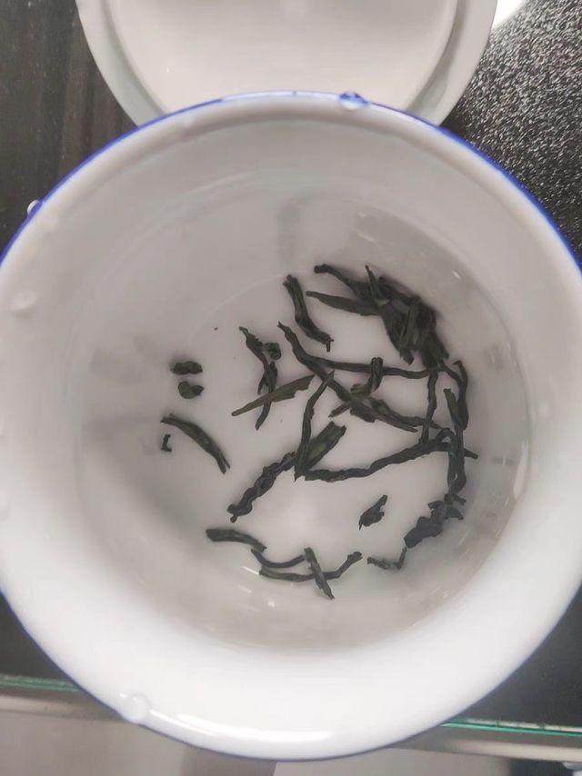 春茶尝鲜！六安瓜片品鉴