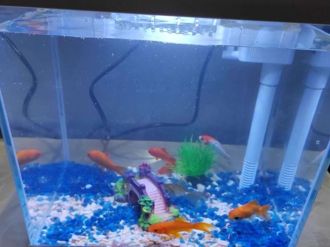 森森鱼缸