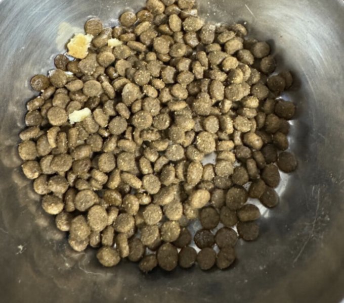 耐吉斯猫咪干粮