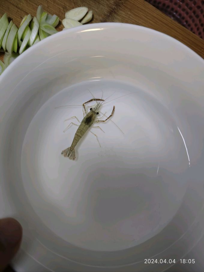 森森水族