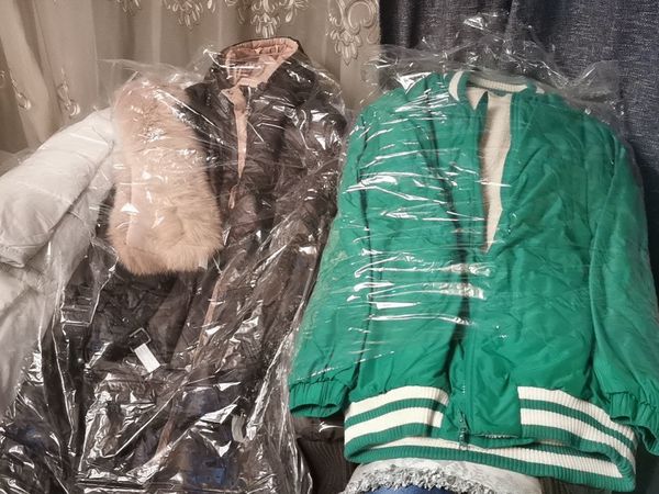 懒人洗衣找狗东