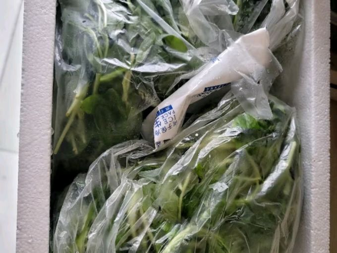 半亩庄园蔬菜