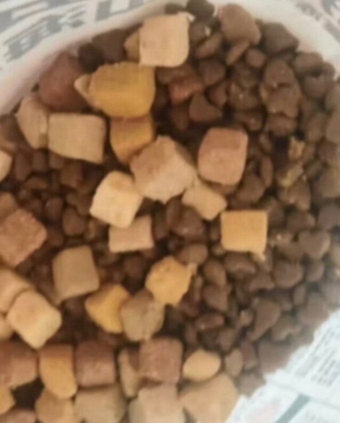 卫仕猫咪干粮
