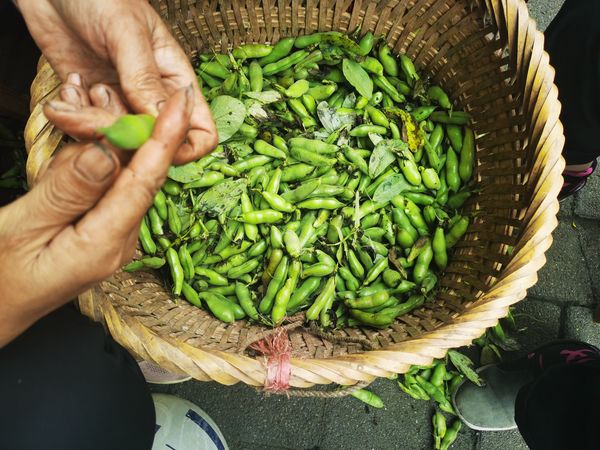 清炒胡豆