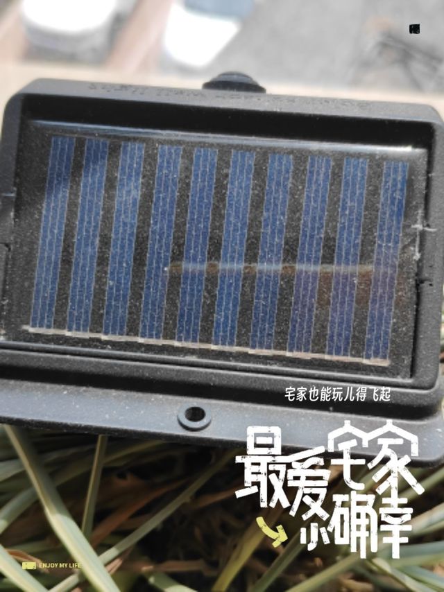 最爱宅家，这个小灯怎么样？