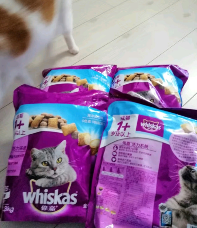 伟嘉猫咪干粮