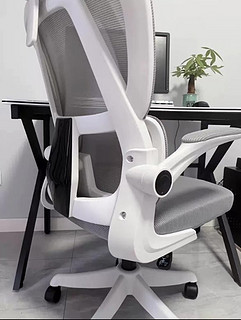 人体工学椅子