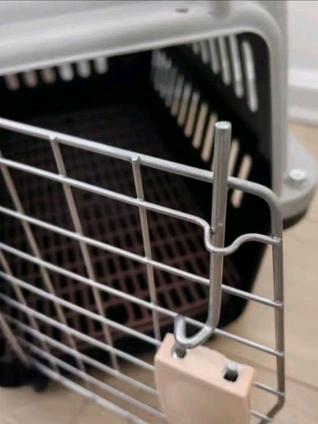 狗狗长途跋涉也不担忧