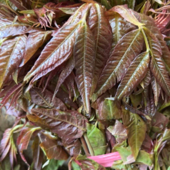 鲁中老农蔬菜