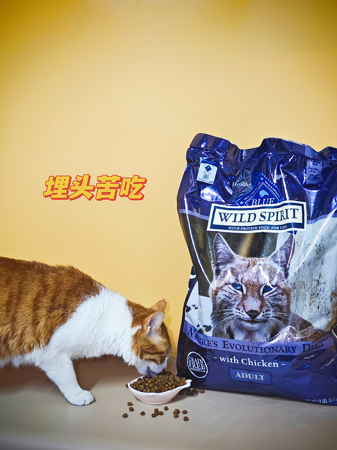 蓝馔猫粮