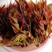 香椿芽炒鸡蛋，可口又美味
