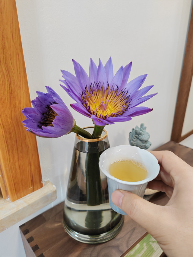 一杯乡茶金不换，还看我文新信阳毛尖，好茶它真不是只是贵！而是实惠！