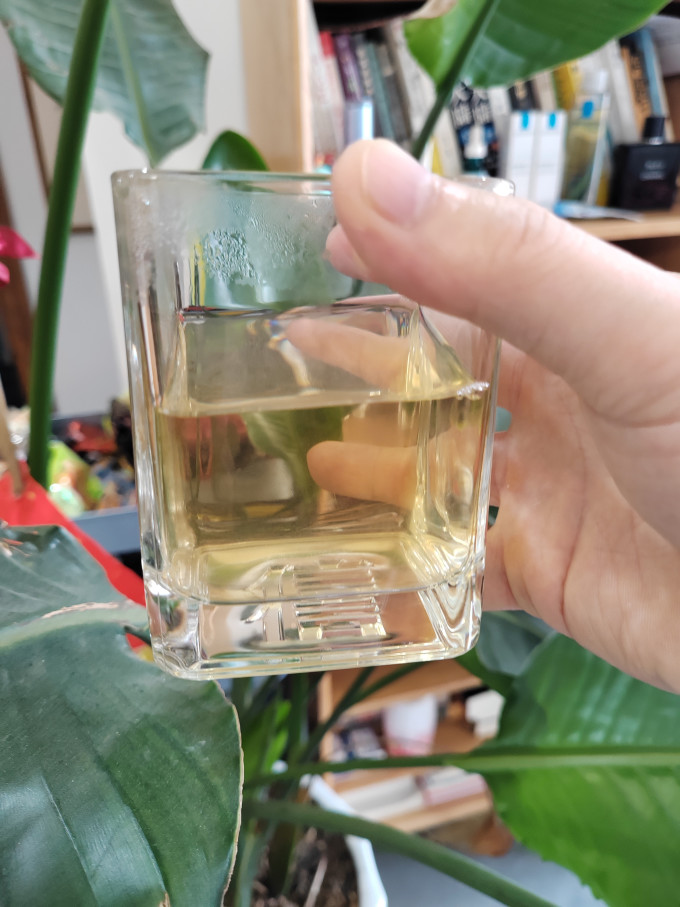 文新茶类