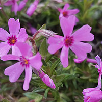 花开有你，春日公园亲子游