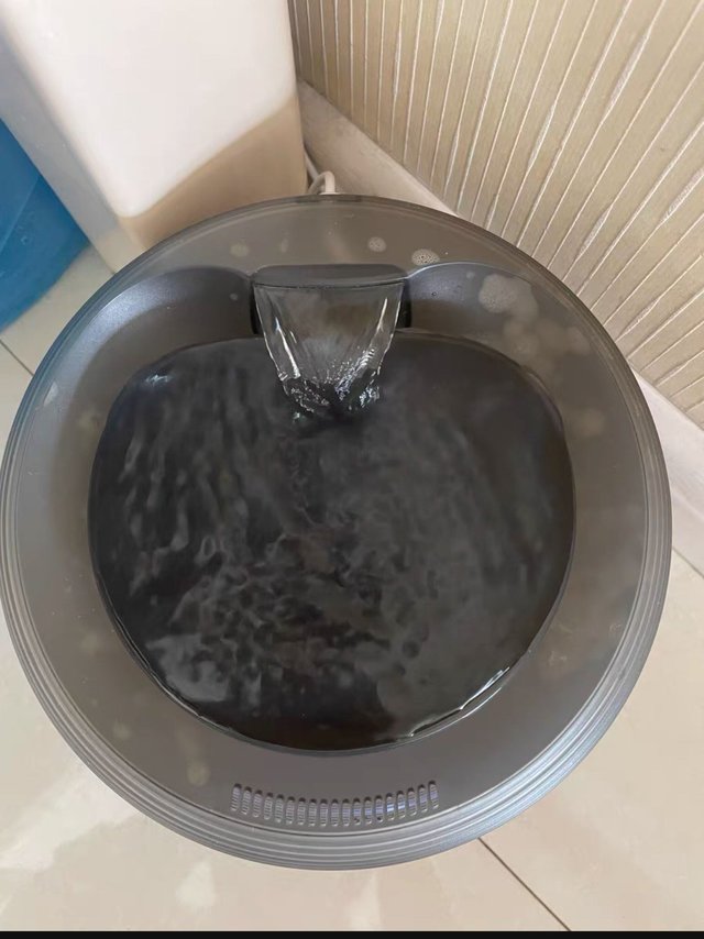猫咪喝水神器"究竟有多神奇？