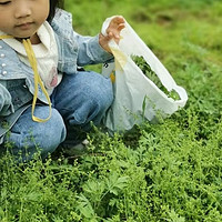 从田间到餐桌：绿色青团的冒险之旅