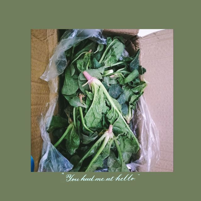 露天霜冻下的菠菜，你尝过吗？