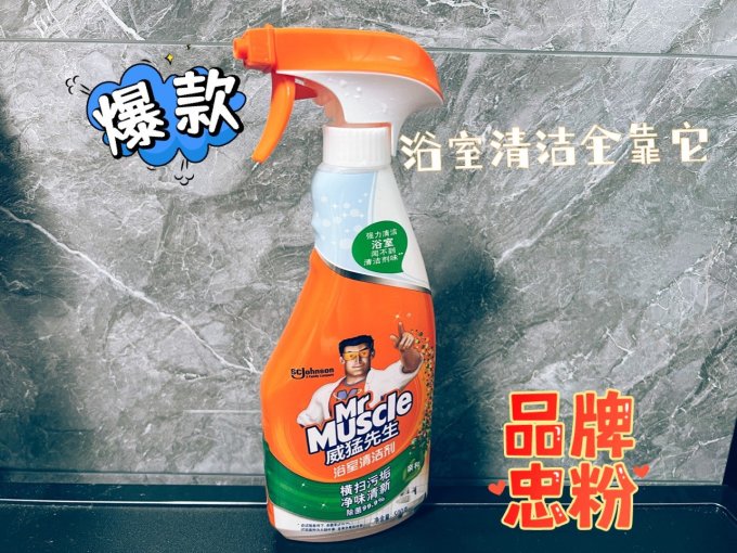威猛先生居室清洁